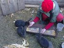 Foto3714