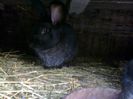 Foto3735