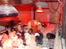 DSCN1793