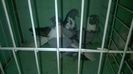 WP_20140806_202