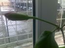290320152334