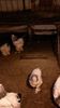 20150329_192529