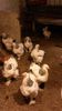 20150329_192541