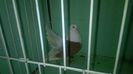 WP_20140806_089