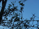 DSCN2740