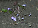 DSCN2812