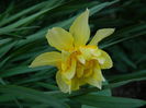 DSCN2844
