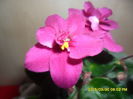 SAM_8905