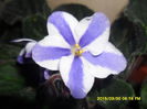 SAM_8912