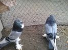 20150329_163805