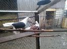 20150329_163844