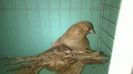 WP_20140806_248