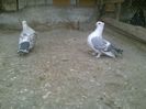 Imag 013511
