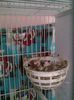 Copy of 11072647_953058941405436_1490939174_n