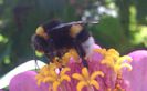 IMG_20140802_141640