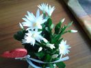 20150401_110225