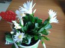 20150401_110203