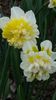 20150401_153202