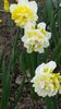 20150401_153157