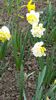 20150401_153126