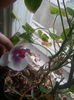 20150330_055736