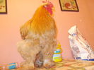 DSCN0422