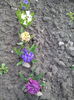 IMG_20150402_081404