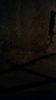 20150328_131709