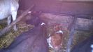 WP_20150402_004