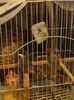 IMG-20150402-WA0000