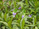 DSCN2971