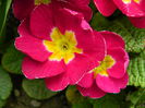 DSCN2985