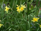 DSCN3007