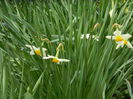 DSCN3008