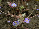 DSCN3047