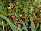 DSCN3058