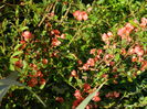 DSCN3059