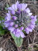 20150326_174708