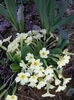 20150326_174713