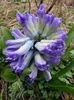 20150328_091503