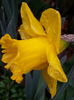 20150328_092851