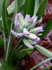 20150329_095202