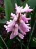 20150329_095205