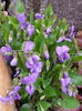 20150329_095221