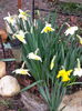 20150329_095300