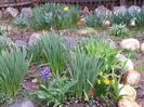 20150329_095436