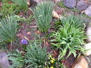 20150329_095450