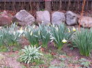 20150329_095459