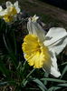 20150331_171944