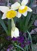 20150331_180136